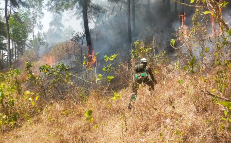 Babinsa Koramil 07/Mandiraja Bersama Tim Gabungan Padamkan Kebakaran Lahan Pinus di Glempang