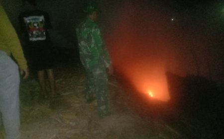 Kebakaran Limbah Penggergajian Kayu di Argasoka, Babinsa dan Damkar Bergerak ke Lokasi