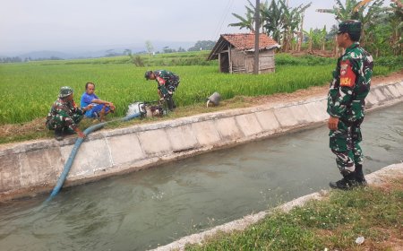 Hadapi Kemarau Panjang, Koramil 03/Wanadadi Bantu Pengairan 24 Hektare Sawah di Linggasari