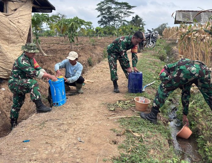 Babinsa Serka Supriyanto Dampingi Petani dan Berikan Penjelasan Pencampuran Herbisida yang Tepat
