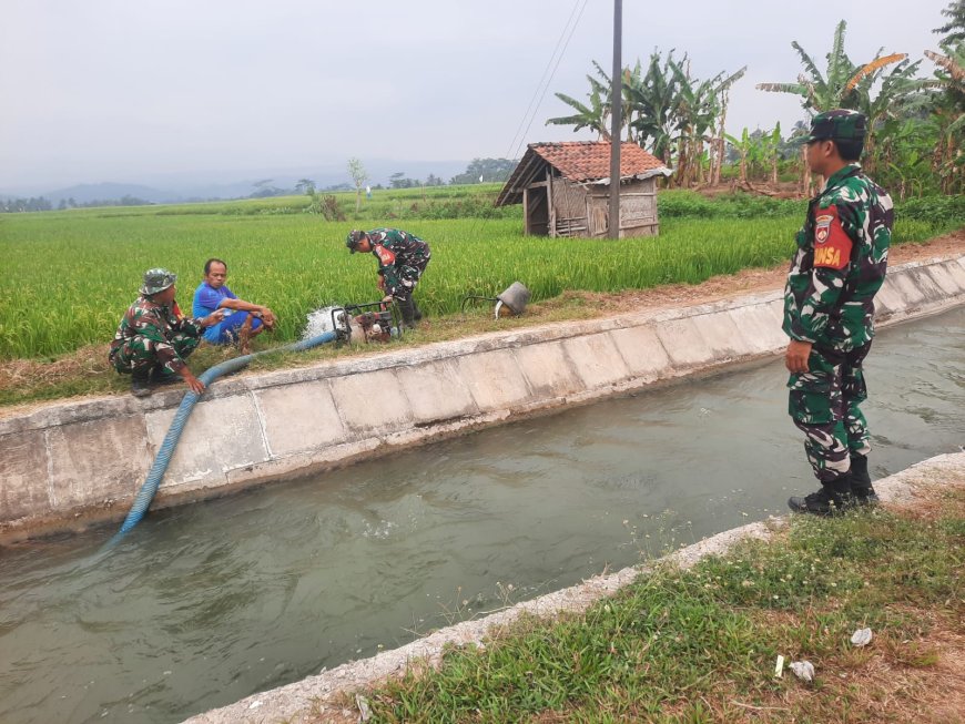 Hadapi Kemarau Panjang, Koramil 03/Wanadadi Bantu Pengairan 24 Hektare Sawah di Linggasari
